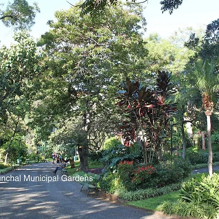 Ourmadeira - Madalena Living Daire