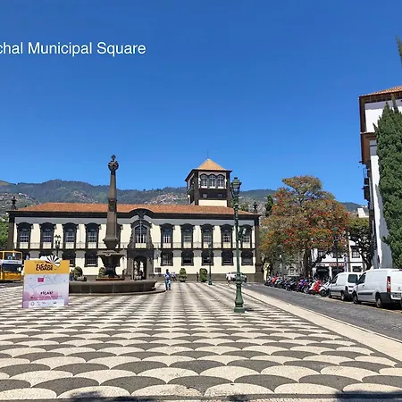 Ourmadeira - Madalena Living