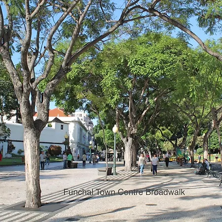 Ourmadeira - Madalena Living Apartamento *