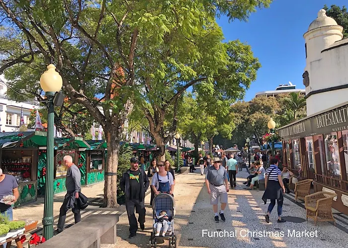 Ourmadeira - Madalena Living 公寓