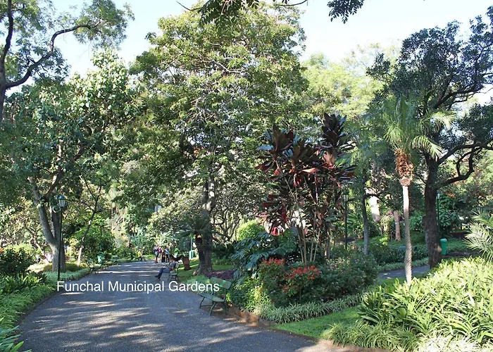 Ourmadeira - Madalena Living 公寓