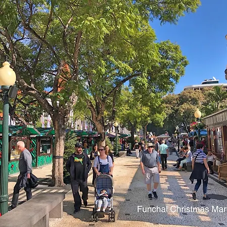 Ourmadeira - Madalena Living Apartament